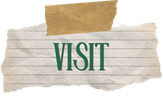 Visit Icon